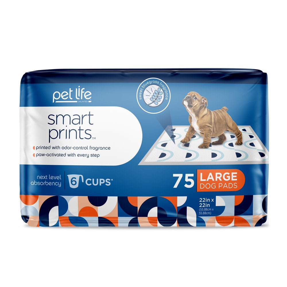 Dog Pads, Smart Prints, Large, Sunshine & Rainbows Print, 75Ct